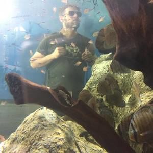 Meet your Posher, Robin